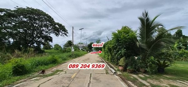 ขายที่ดิน คลอง 8 ราคาถูก ต.ลำผักกูด อ.ธัญบุรี จ.ปทุมธานี พื้นที่ 100 ตรว รูปที่ 2