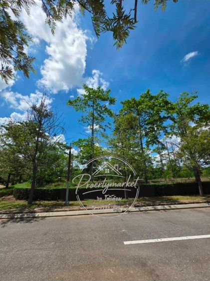 Rare Item ที่สุดของเขาใหญ่ โอกาสครอบครองที่ดินในโครงการระดับ Ultra Luxury ใจกลาง ไข่แดงเขาใหญ่ ทำเลที่นักลงทุนและเจ้าของบ้านระดับพรีเมียม รูปที่ 4