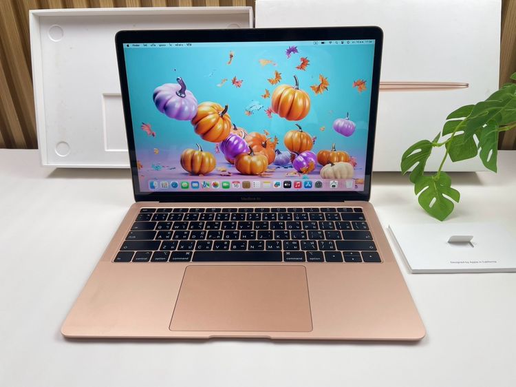 Apple แมค โอเอส 8 กิกะไบต์ อื่นๆ ไม่ใช่ MacBook Air 13-inch Retina 2018 Core i5 Ram8GB SSD128GB Gold สภาพดียางขอบจอเสื่อมแทร็คแพดกดได้ปกติค่อนข้างแข็ง ชาร์จ234รอบ 