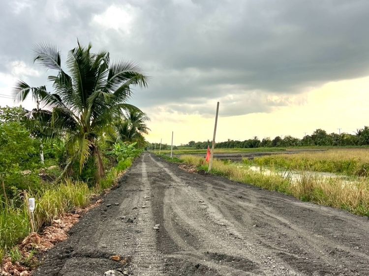 ที่ดินหนองเสือ ไกล้แหล่งชุมชน น้ำไฟพร้อม สร้างบ้านสวน ไกล้วัดป่าคลอง 11 รูปที่ 2