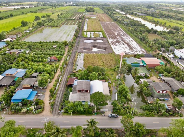 ที่ดินหนองเสือ ไกล้แหล่งชุมชน น้ำไฟพร้อม สร้างบ้านสวน ไกล้วัดป่าคลอง 11 รูปที่ 3
