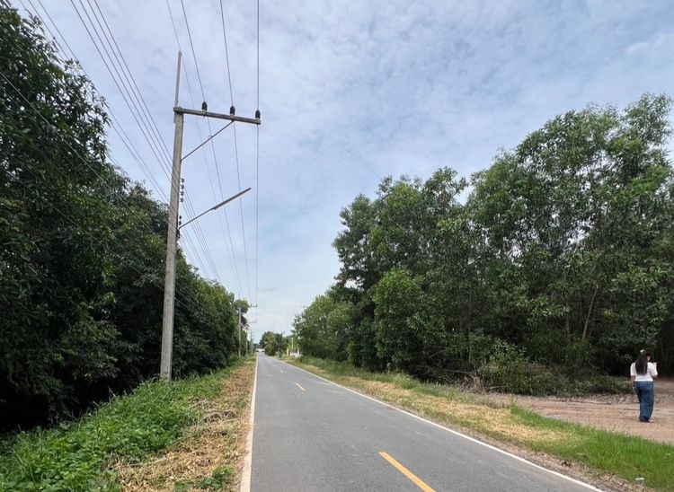 ที่ดินสวยหนองเสือ ถมแล้ว ติดถนนลาดยาง เหมาะสร้างบ้าน โกดัง ใกล้วัดบึงกาสาม 500 เมตร รูปที่ 3