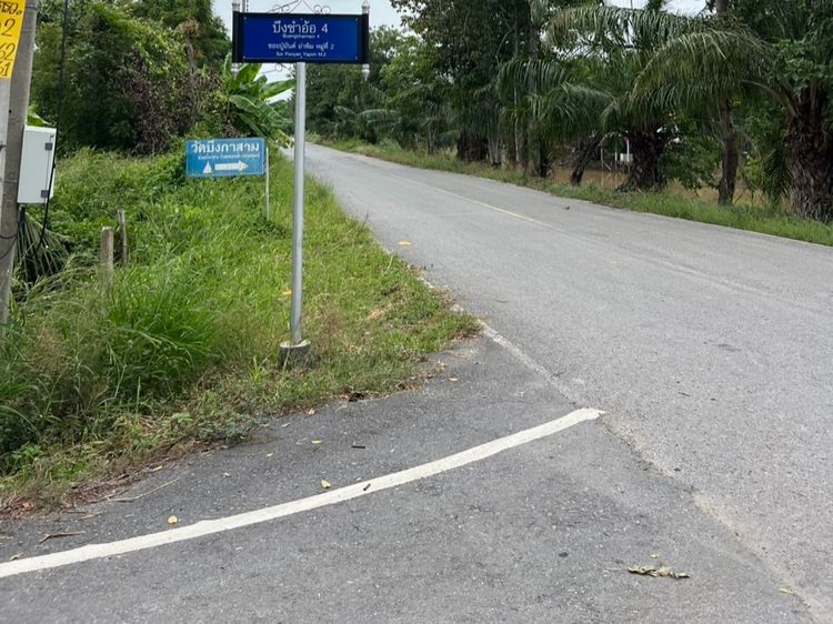 ที่ดินสวยหนองเสือ ถมแล้ว ติดถนนลาดยาง เหมาะสร้างบ้าน โกดัง ใกล้วัดบึงกาสาม 500 เมตร รูปที่ 4