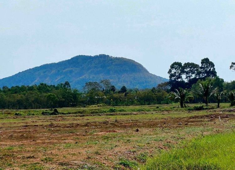 ที่ดินวิวเขาใหญ่ โฉนดครุฑแดง ไกล้สถานีตำรวจ รีสอร์ทนาวินโฮม รูปที่ 4