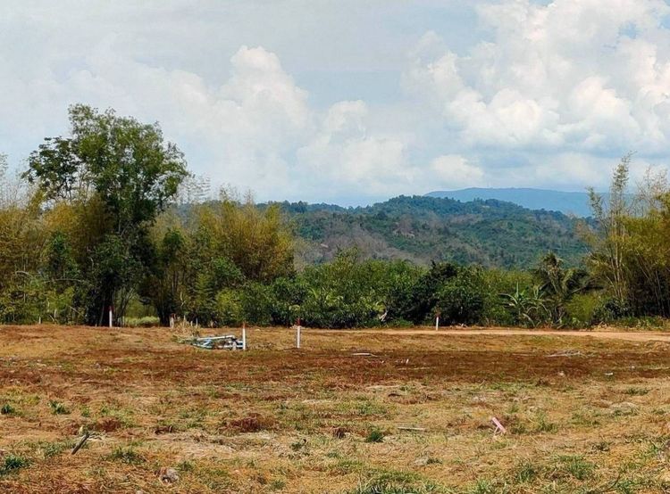 ที่ดินวิวเขาใหญ่ โฉนดครุฑแดง ไกล้สถานีตำรวจ รีสอร์ทนาวินโฮม รูปที่ 3