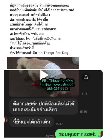 ผ้ายางกันลื่นสุนัข ที่ใช้ดีที่สุด สัตวแพทย์ยังแนะนำให้ใช้ รูปที่ 12