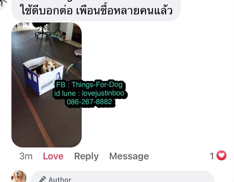 ผ้ายางกันลื่นสุนัข ที่ใช้ดีที่สุด สัตวแพทย์ยังแนะนำให้ใช้ รูปที่ 11