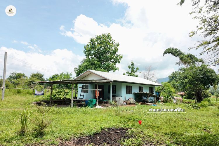 ขายบ้านพร้อมที่ดิน 2 ไร่ 2 งาน 19 ตร.ว. โฉนดครุฑแดง วิวภูเขา ต.วังชมภู เพชรบูรณ์ รูปที่ 4