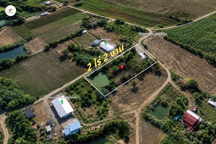 ขายบ้านพร้อมที่ดิน 2 ไร่ 2 งาน 19 ตร.ว. โฉนดครุฑแดง วิวภูเขา ต.วังชมภู เพชรบูรณ์