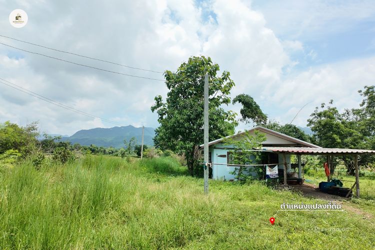 ขายบ้านพร้อมที่ดิน 2 ไร่ 2 งาน 19 ตร.ว. โฉนดครุฑแดง วิวภูเขา ต.วังชมภู เพชรบูรณ์ รูปที่ 3