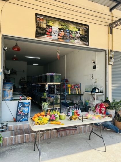 เซ้งร้านขายปลาสวยงาม
