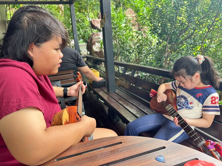 สอนพิณ เรียนพิณ 