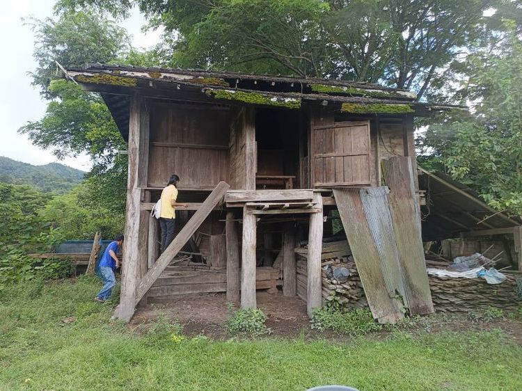ไม้สัก หลองข้าว เก่า รูปที่ 2