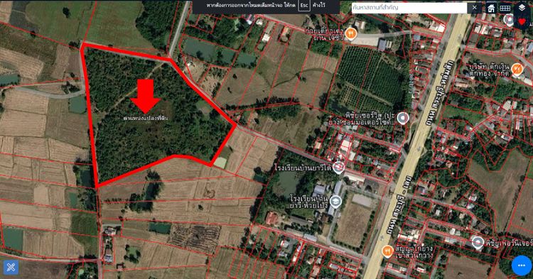 ขายที่ดินโฉนด ตำบลวังชมภู อำเภอเมือง จังหวัดเพชรบูรณ์