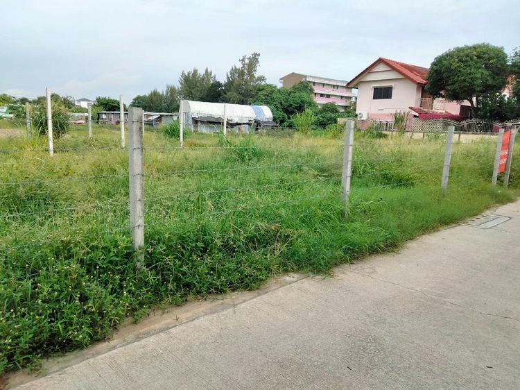 ที่ดินสวย 180 ตรว เหมาะสร้างบ้าน  อยู่ติดโครงการบ้านหรู ใกล้รถไฟฟ้าสายสีแดง  ด้านหน้าติดถนนในหมู่บ้าน ด้านหลังติดโครงการบ้านหรู ที่ถมแล้วพร้