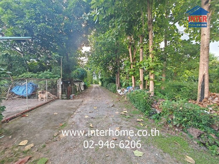 ที่ดินเปล่า 148 ตร.ว. ที่ดินเปล่า ใกล้ Beam Bakery at วางเวลา ซอยสันติภาพ ถนนเชียงใหม่-พร้าว ถนนสหกรณ์ สันทราย เชียงใหม่ รูปที่ 4