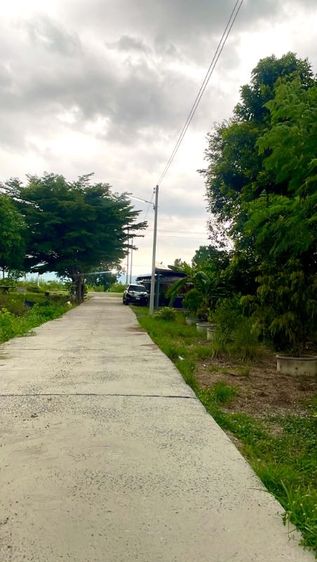 ที่ดินเปล่า รูปที่ 4