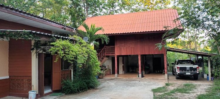 ไม่ใช่ ขายที่สวนวนเกษตร พร้อมบ้านพัก รูปที่ 4