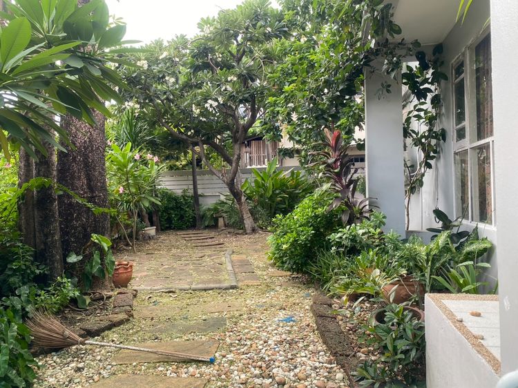 ตกแต่งครบ 2010  ID 1606 บ้านเดี่ยวให้เช่า เพอร์เฟคเพลส รามคำแหง164 รูปที่ 3