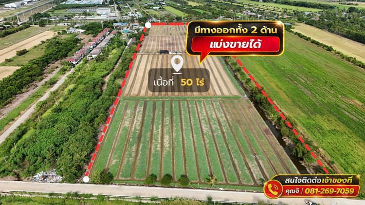ที่ดิน 50 ไร่ (แบ่งขายได้) ตำบลไทรใหญ่ จ.นนทบุรี รูปที่ 4