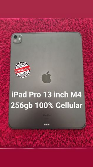 Apple iPad (Pro M4) 256 gb (Cellular)