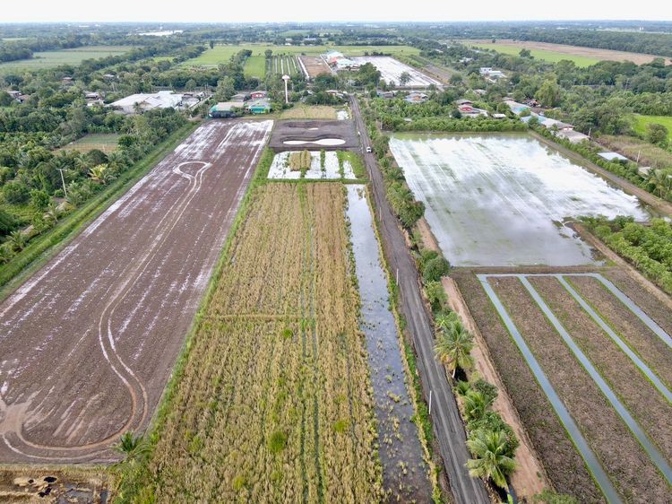 ที่ดินเงินผ่อนเชิงบ้านสวนเกษตร อ.หนองเสือ  ไกล้วัดป่าคลอง11 ถมไม่เยอะ รูปที่ 4