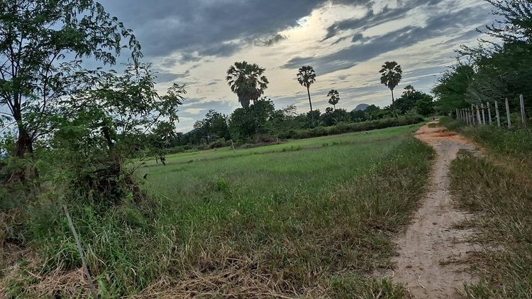 ขายที่ดิน 1 ไร่ ตำบลชะอำ อำเภอชะอำ จังหวัดเพชรบุรี (งดนายหน้าเพิ่มครับ)