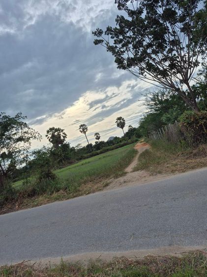 ขายที่ดิน 1 ไร่ ตำบลชะอำ อำเภอชะอำ จังหวัดเพชรบุรี (งดนายหน้าเพิ่มครับ) รูปที่ 2