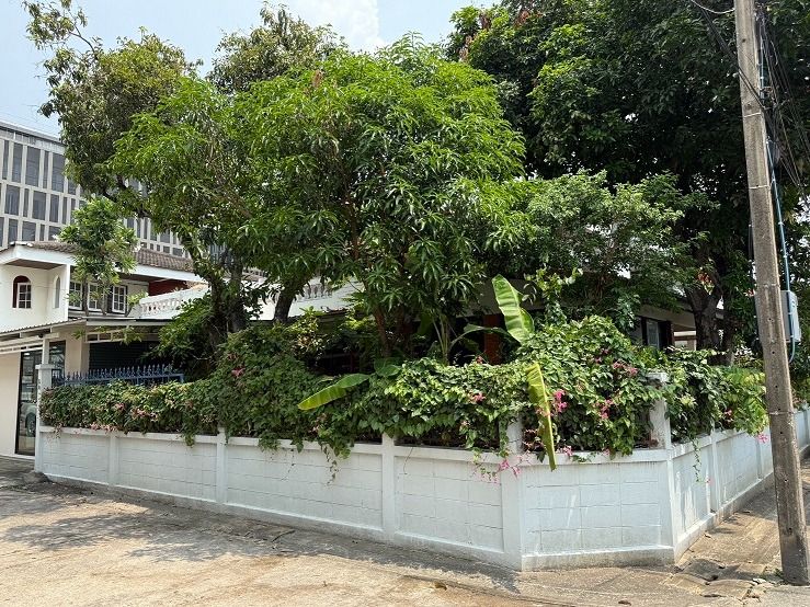 ขายบ้านเดี่ยว ย่านสะพานควาย หมู่บ้านจตุรมิตร ซอยประดิพัทธ์ 15 รูปที่ 2