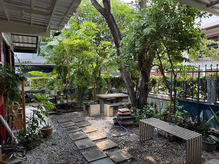 ขายบ้านเดี่ยว ย่านสะพานควาย หมู่บ้านจตุรมิตร ซอยประดิพัทธ์ 15 รูปที่ 3