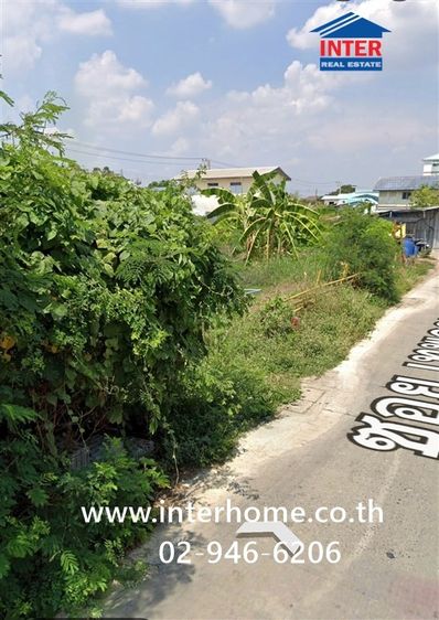 ที่ดินเปล่า 50 ตร.ว. ที่ดินเปล่า ซอยเทพกุญชร24 ถนนพหลโยธิน ถนนซอยเทพกัญชร24 คลองหลวง ปทุมธานี รูปที่ 4