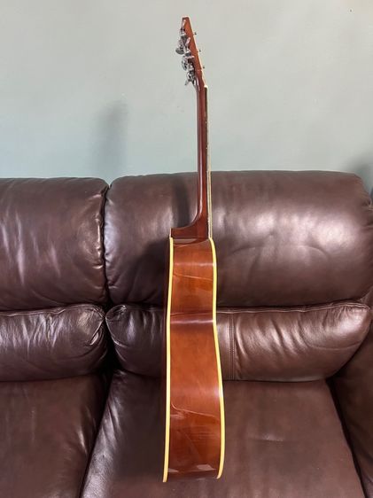 Guitar Honey Bee F-15N รูปที่ 3