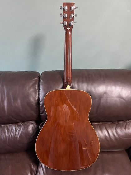 Guitar Honey Bee F-15N รูปที่ 2