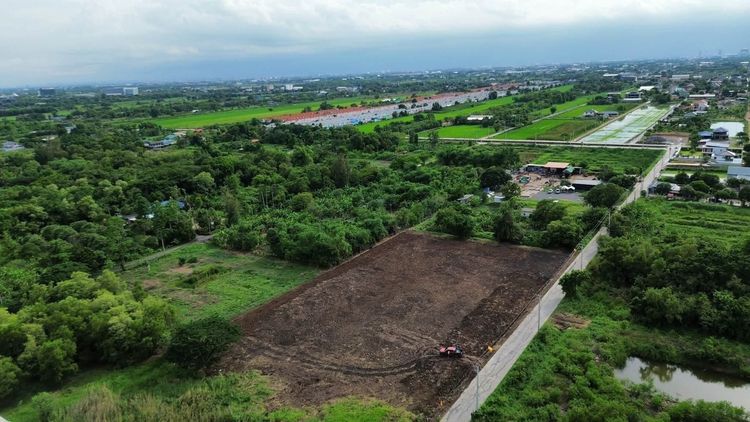 ที่ดินคลองหลวง หน้าแปลงติดถนนคอนกรีต มีเพื่อนบ้าน น้ำไฟพร้อม รูปที่ 3