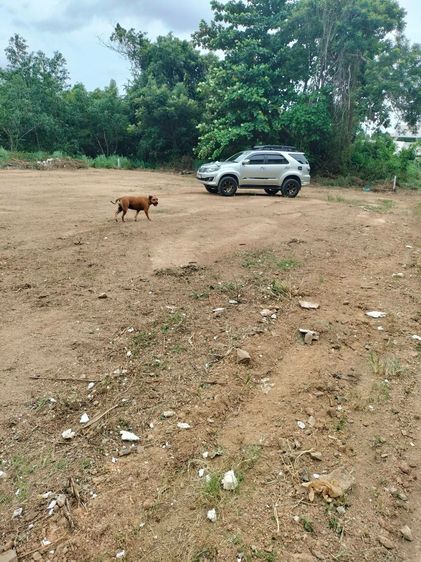 ขายที่ดินเปล่า รูปที่ 2