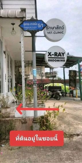 ที่ดินเปล่า รูปที่ 2