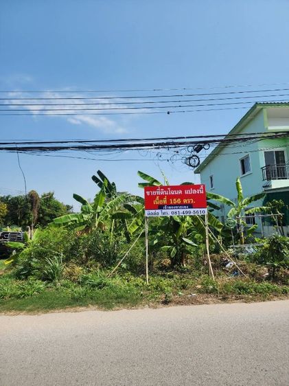 ที่ดินเปล่า หัวหิน ชุมชนสมอโพรง 156 ตรว.