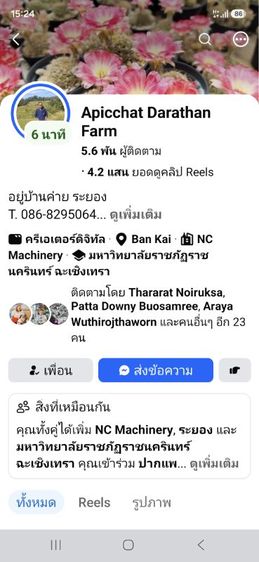 กระต่ายแคระระยอง รูปที่ 8