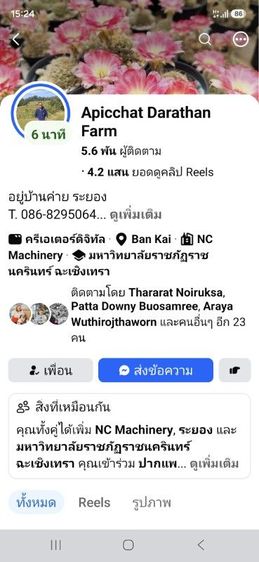 ปลาหางนกยูงระยอง รูปที่ 17