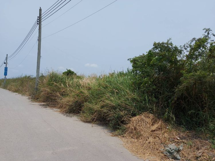 ขายที่ดินเนื้อที่ดินรวม783ตรว. ตำบล บางเพรียง อำเภอ บางบ่อ จังหวัด สมุทรปราการ รูปที่ 3