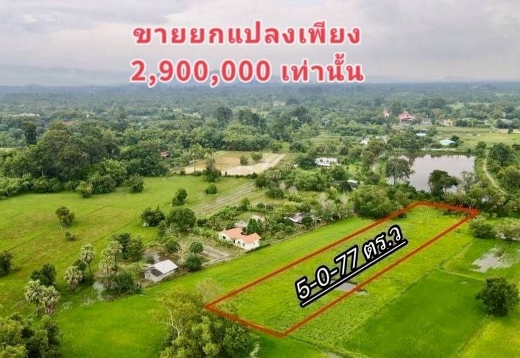 ที่ดินแปลงใหญ่เชิงเกษตร บ้านนา นครนายก ใกล้ชุมชน แหล่งท่องเที่ยว รูปที่ 2