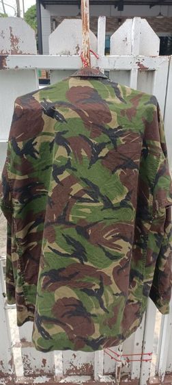 coat woodland รูปที่ 6