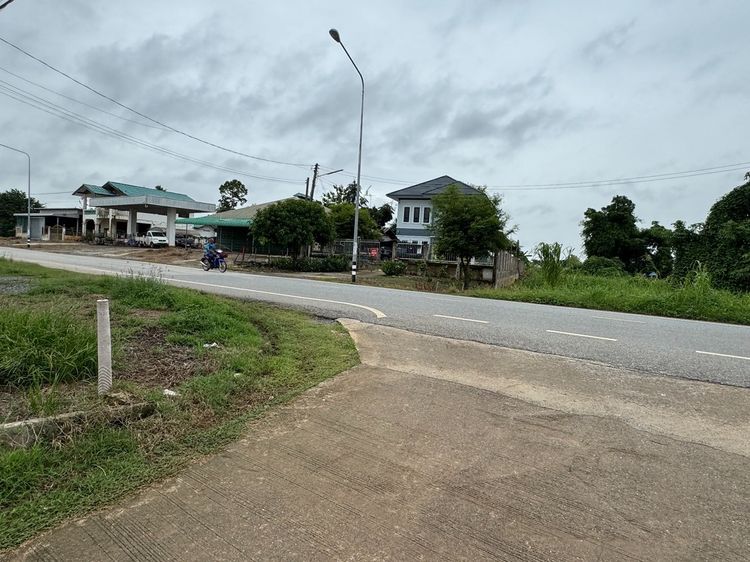 จ้าของขายเอง ที่ดิน 6 ไร่ ต.บึงพระ อ.เมืองพิษณุโลก รูปที่ 2