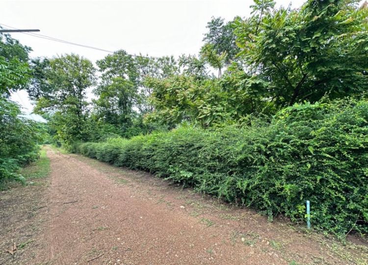 🏡 บ้านสวนพร้อมที่ดิน 1 ไร่ 3 งาน 96 ตร.ว. เพชรบูรณ์ ราคา 990,000 บาท รูปที่ 4