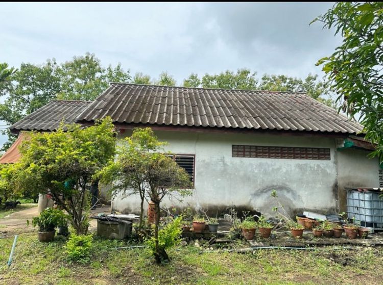 🏡 บ้านสวนพร้อมที่ดิน 1 ไร่ 3 งาน 96 ตร.ว. เพชรบูรณ์ ราคา 990,000 บาท รูปที่ 3