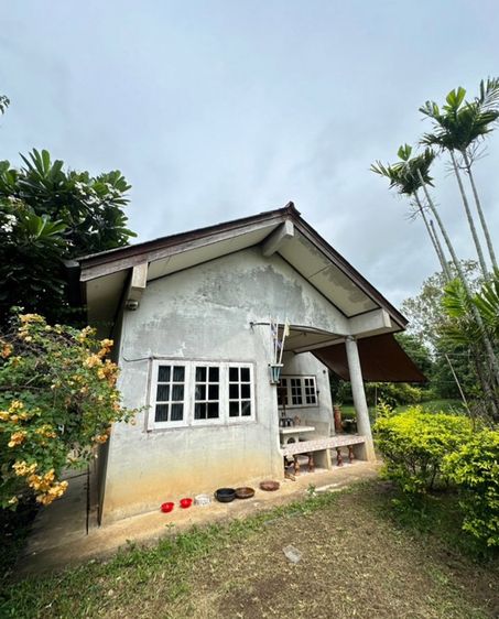 🏡 บ้านสวนพร้อมที่ดิน 1 ไร่ 3 งาน 96 ตร.ว. เพชรบูรณ์ ราคา 990,000 บาท รูปที่ 2