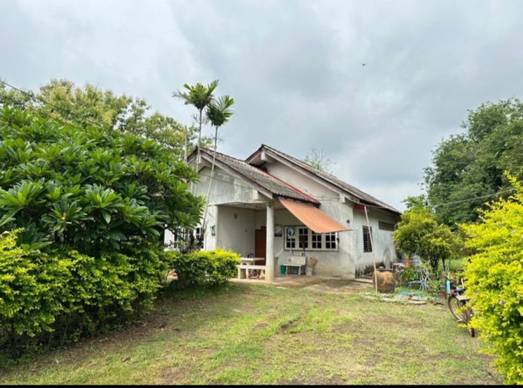 🏡 บ้านสวนพร้อมที่ดิน 1 ไร่ 3 งาน 96 ตร.ว. เพชรบูรณ์ ราคา 990,000 บาท