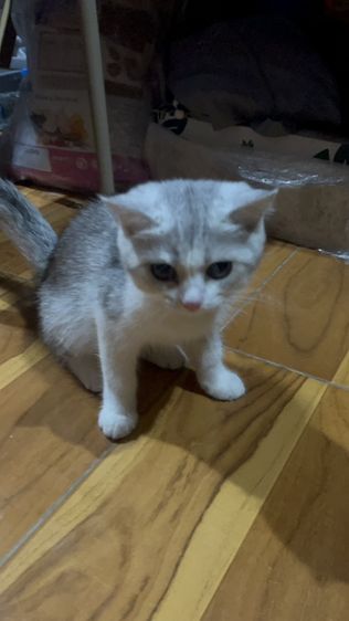 น้องมิลค์ รูปที่ 3