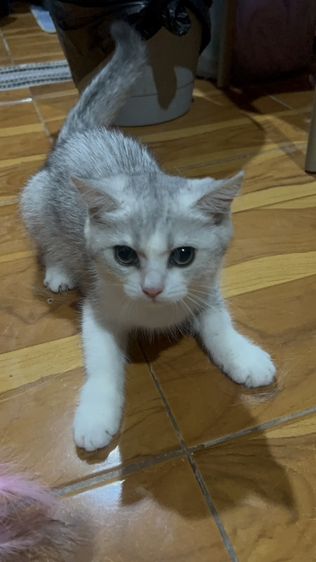 น้องมิลค์ รูปที่ 6