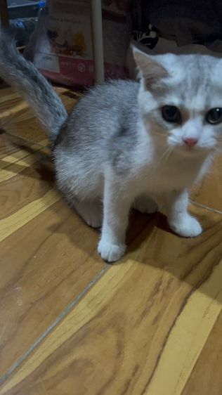 น้องมิลค์ รูปที่ 4